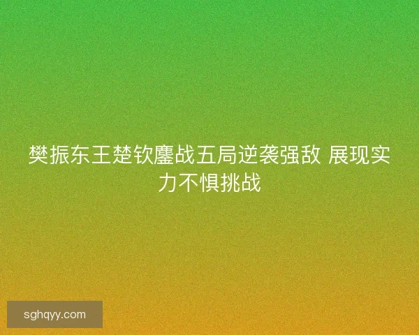 樊振东王楚钦鏖战五局逆袭强敌 展现实力不惧挑战
